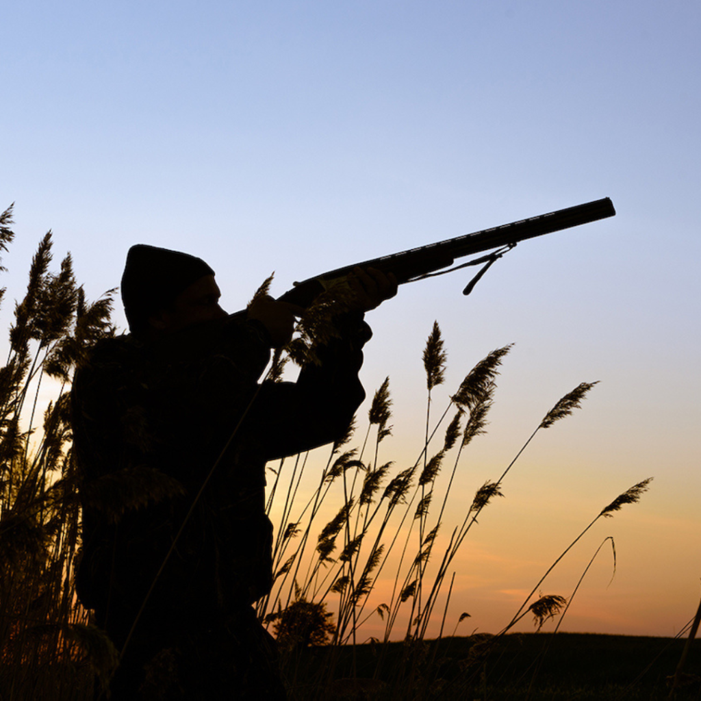 Combo: Hunting / Non-Restricted Firearm Courses